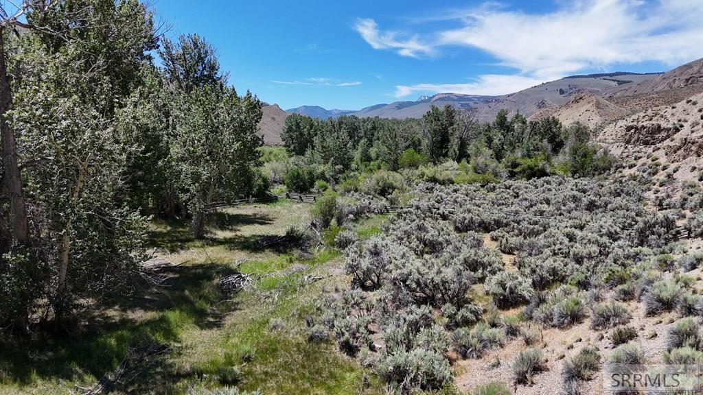 Tbd East Fork Road Property Photo 21