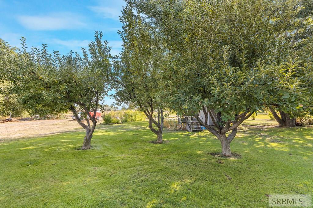 202 Fort Henry Loop Property Photo 53