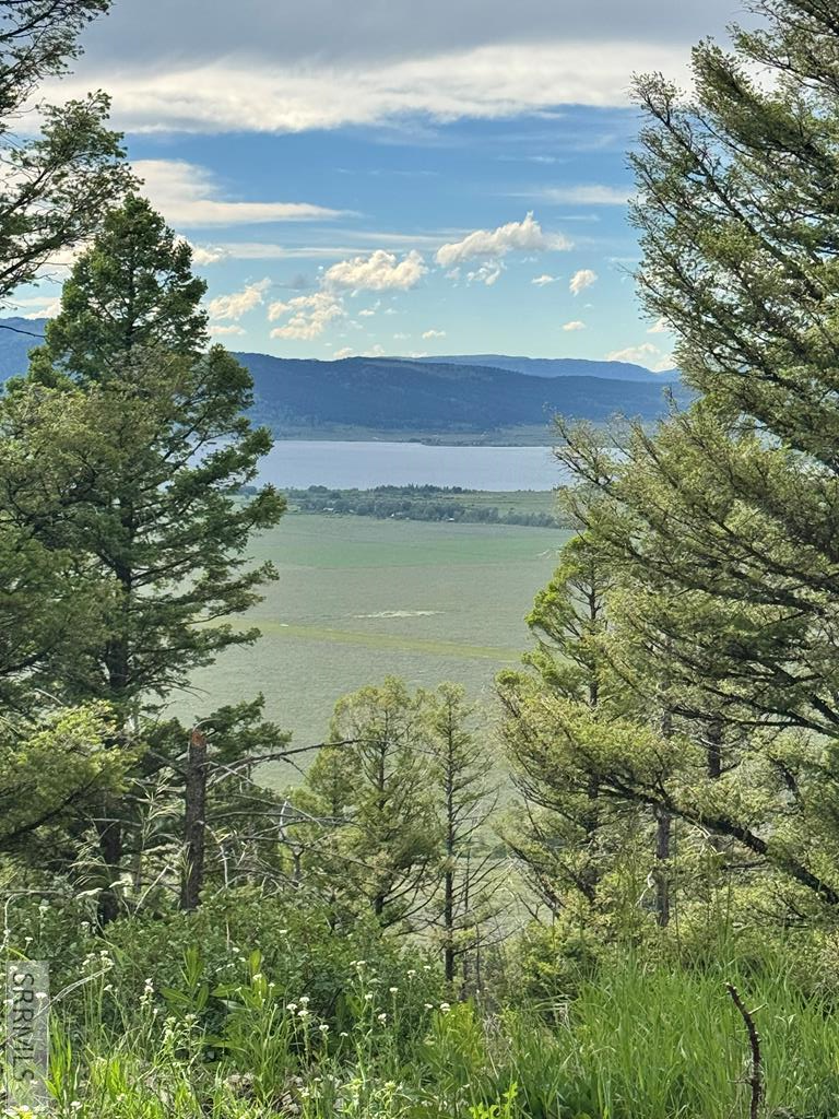 TBD Mountain Drive Property Photo 1