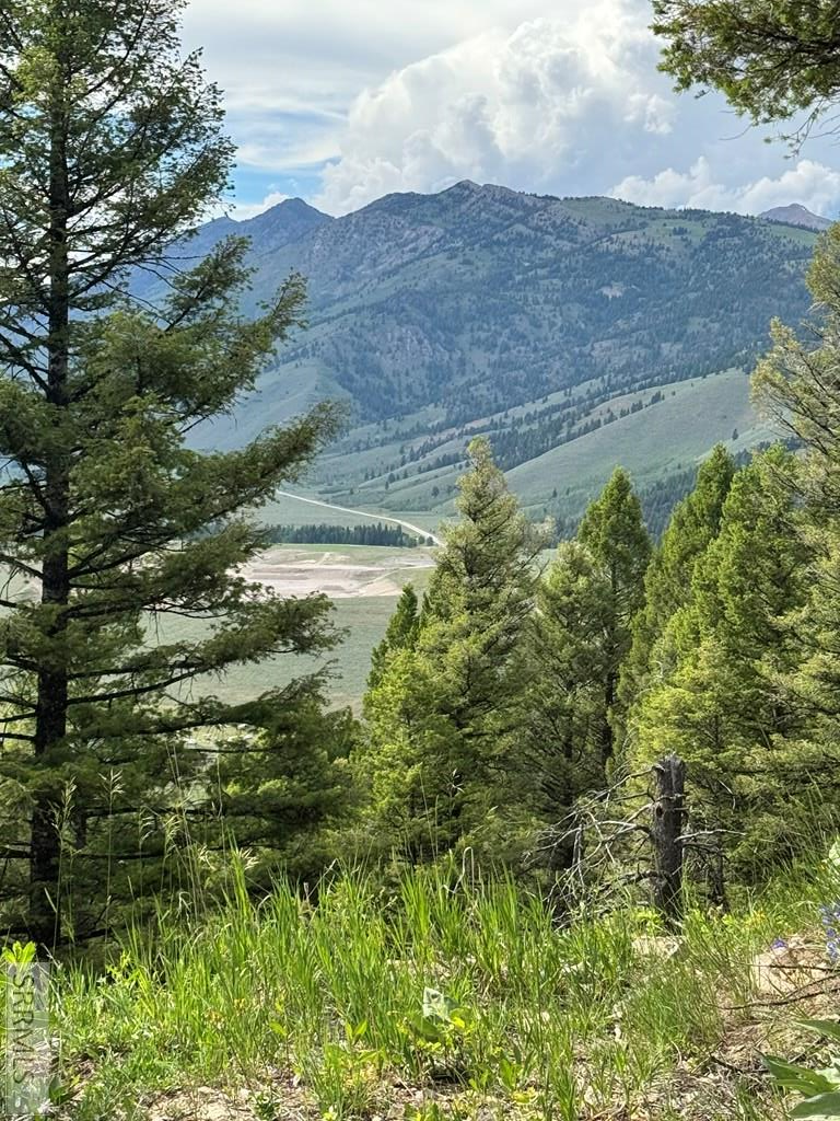 Tbd Mountain Drive Property Photo 2