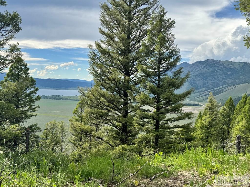 Tbd Mountain Drive Property Photo 3