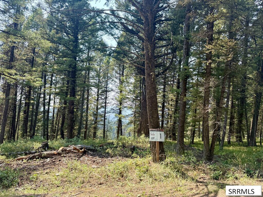 4911 Alpenglow Way Property Photo 1