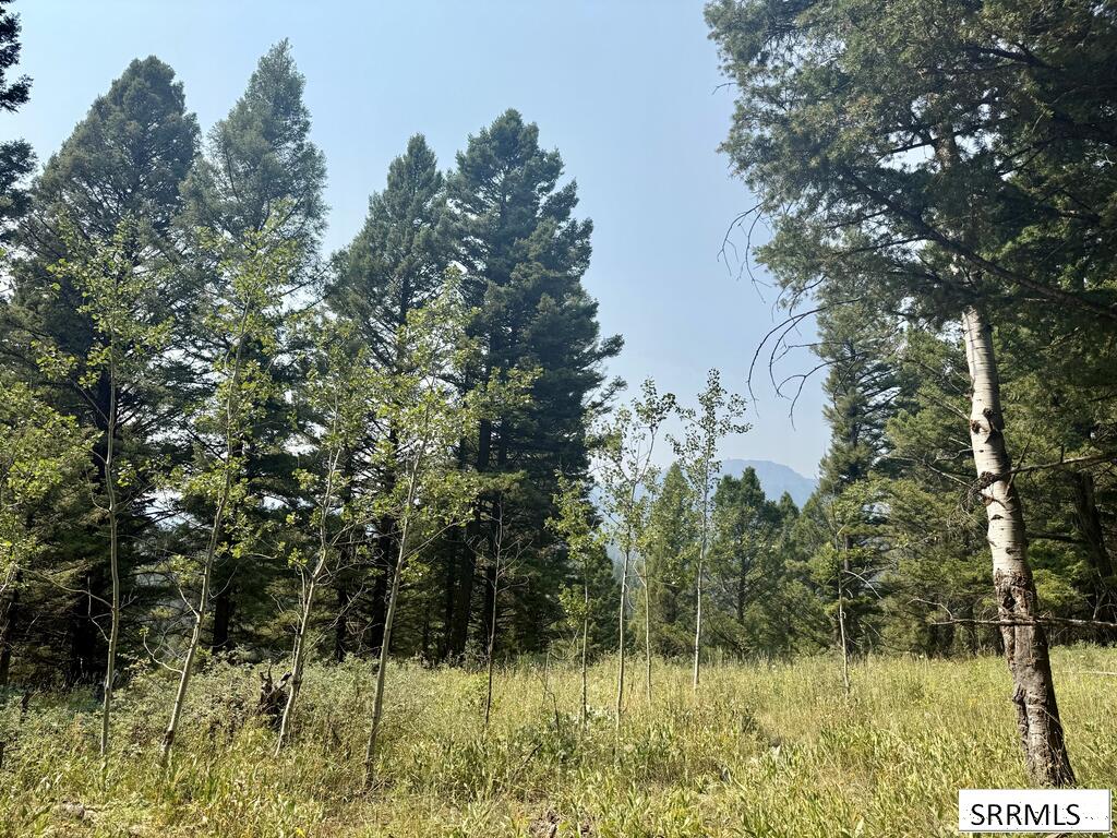 4911 Alpenglow Way Property Photo 4