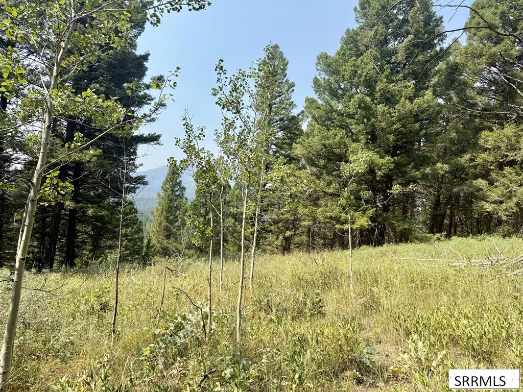 4911 Alpenglow Way Property Photo 6