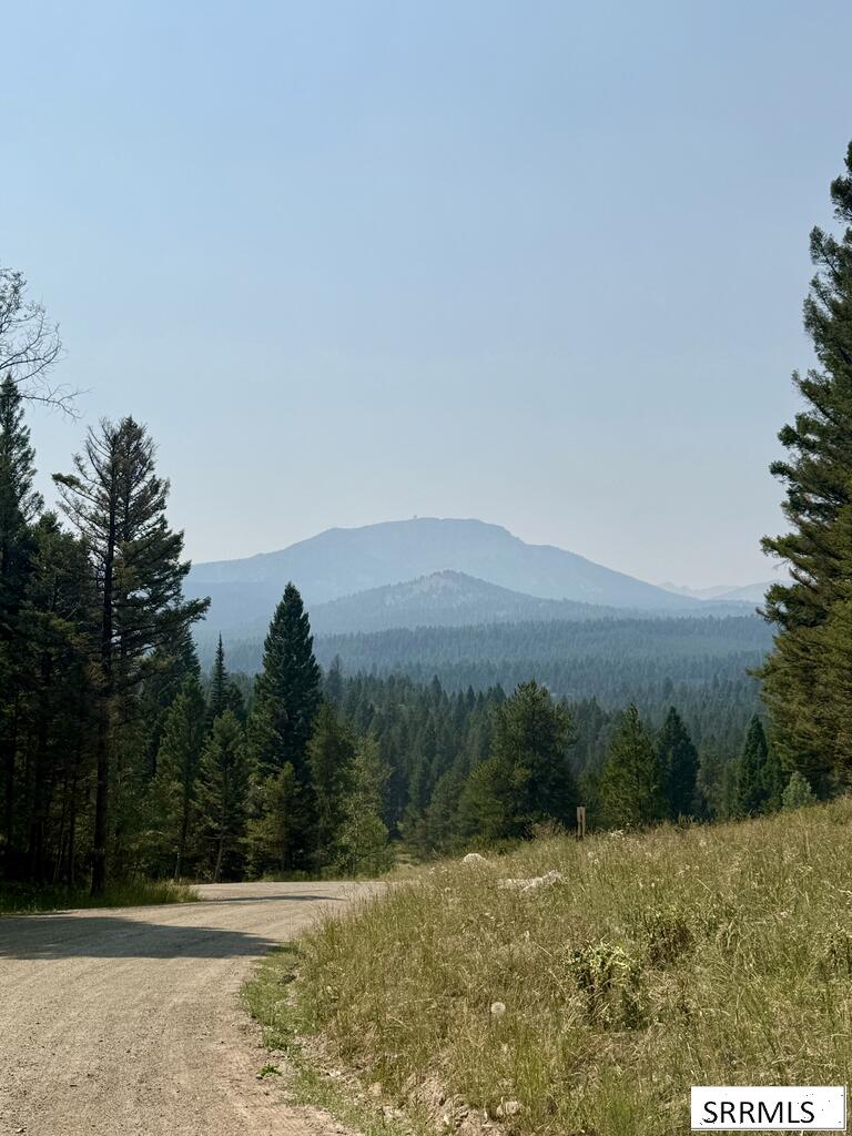 4911 Alpenglow Way Property Photo 7