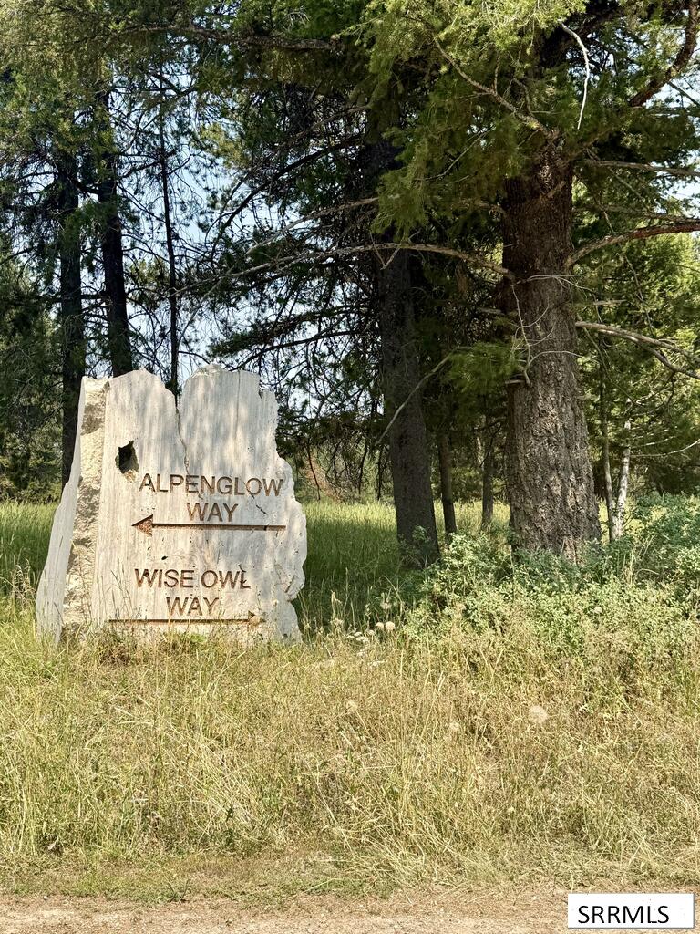 4911 Alpenglow Way Property Photo 8