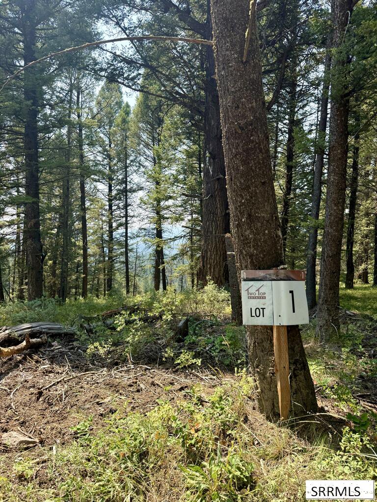 4911 Alpenglow Way Property Photo 9