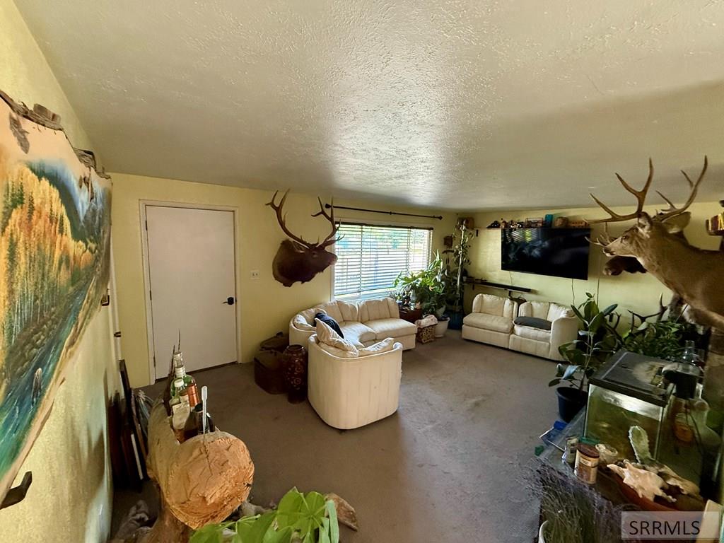 2 Hammon Drive Property Photo 19