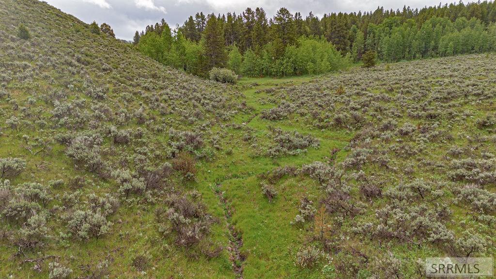 Tbd Long Hollow Road Property Photo 36