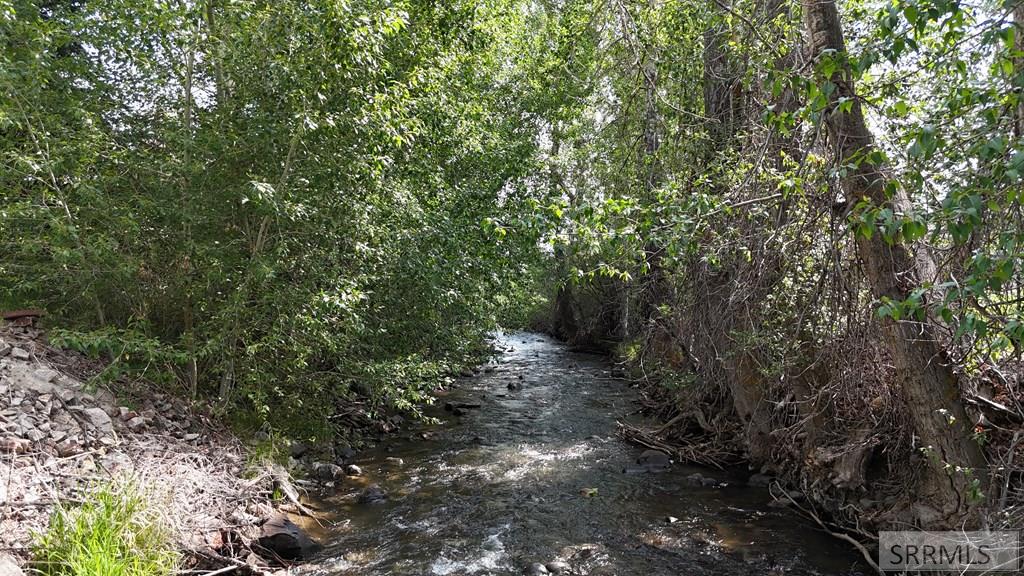 5480 Challis Creek Road Property Photo 3