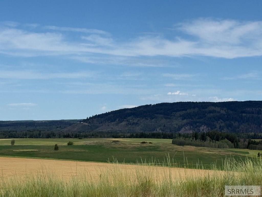 4423 Chickadee Lane Property Photo 5