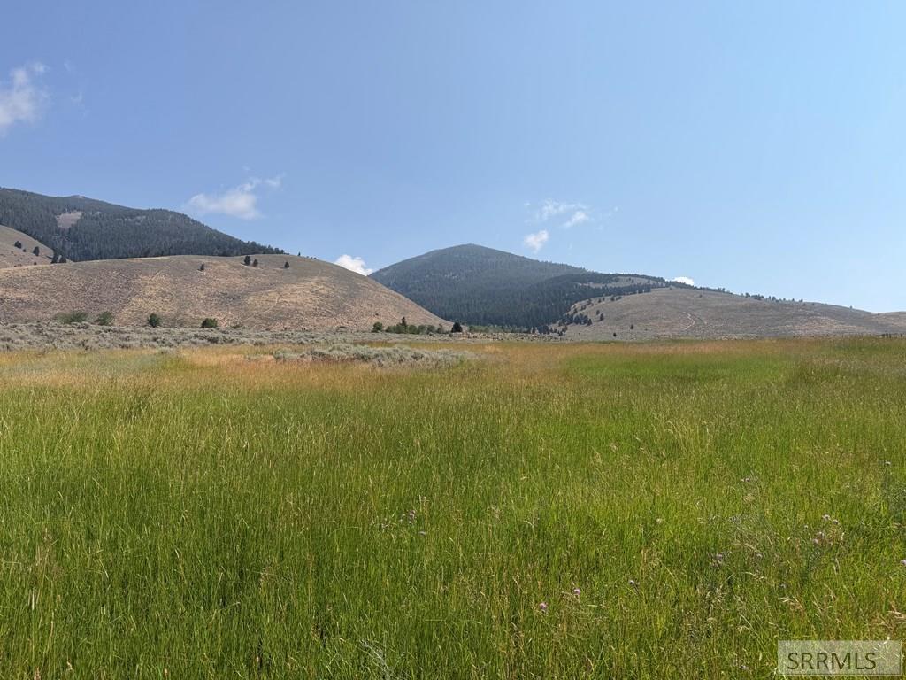 Nka E Sandy Creek Road Property Photo 3