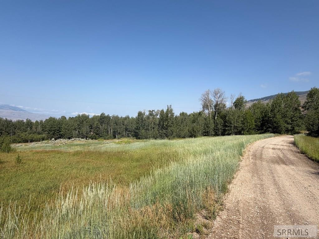 Nka E Sandy Creek Road Property Photo 10