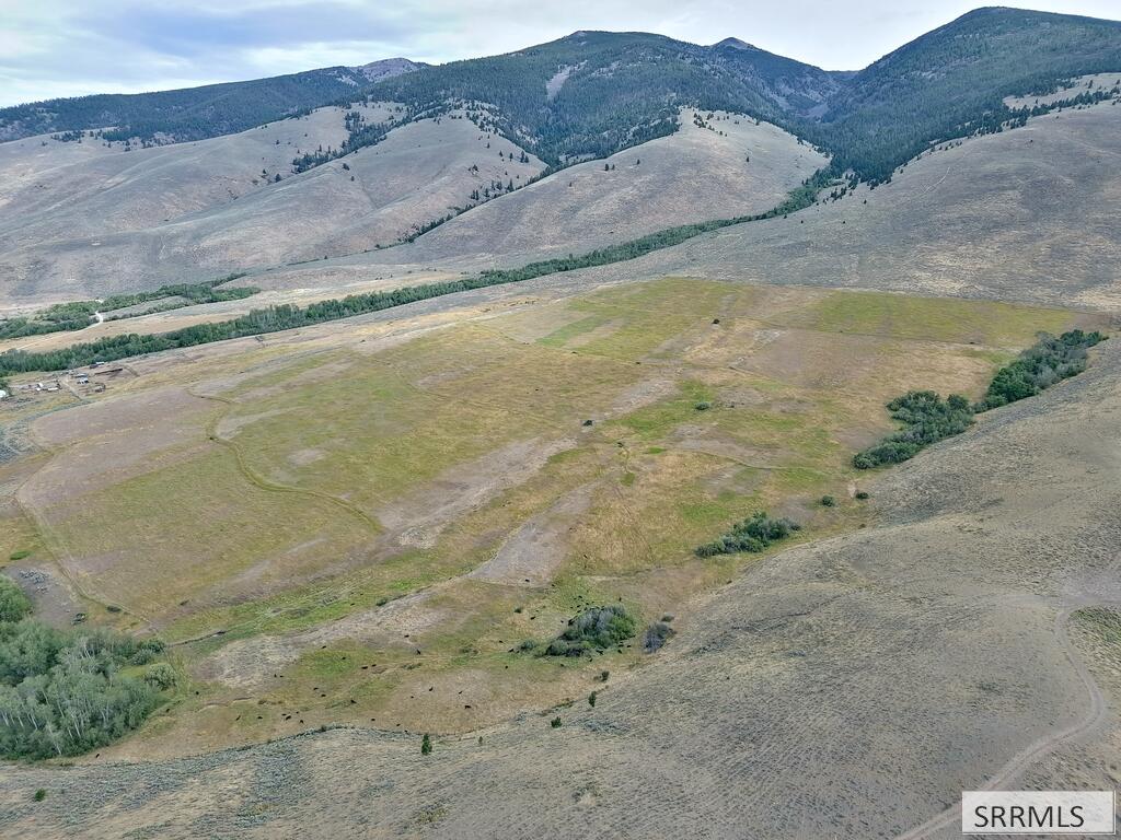 Nka E Sandy Creek Road Property Photo 19