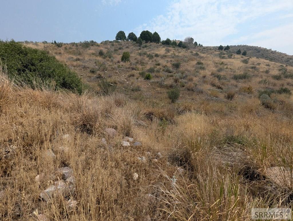 262 S Old Hwy 91 Property Photo 5