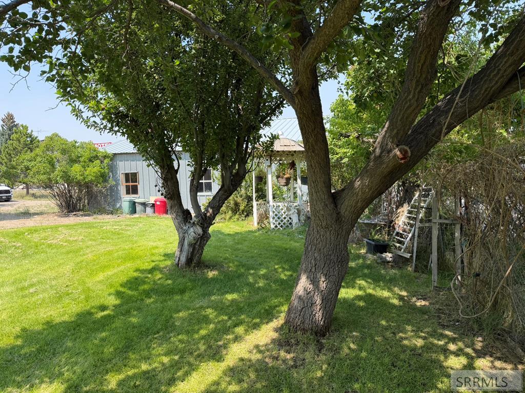 24707 Hwy 93 Property Photo 56