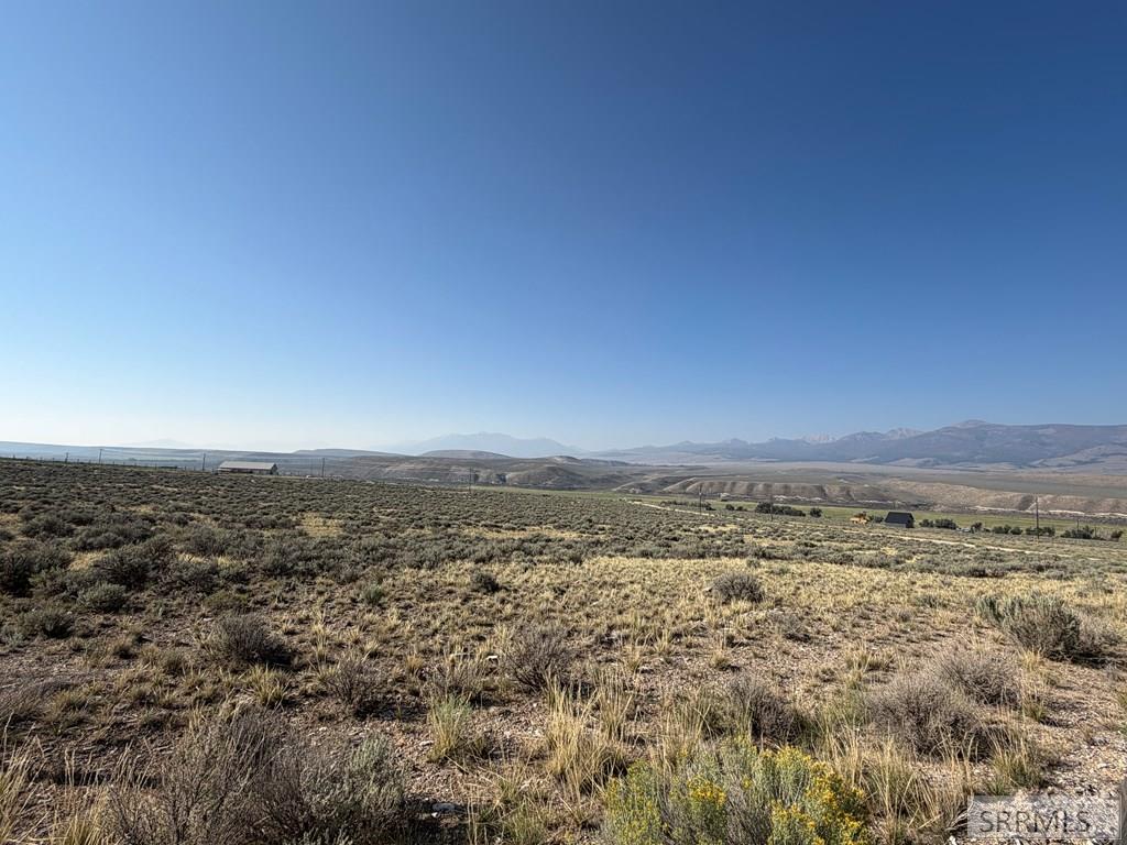 Tbd Peterson Creek Road Property Photo 6