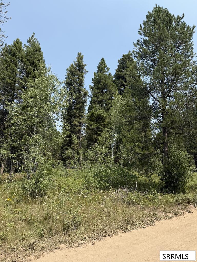 2781 Sagehen Dr Property Photo 1