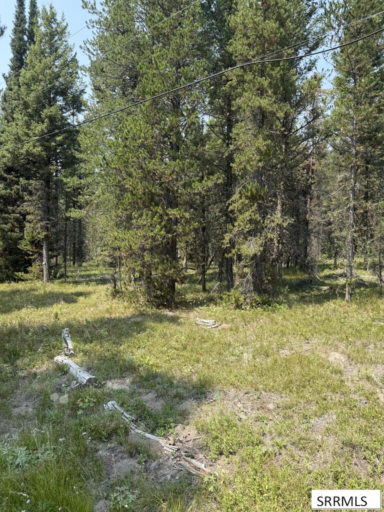 2781 Sagehen Dr Property Photo 3