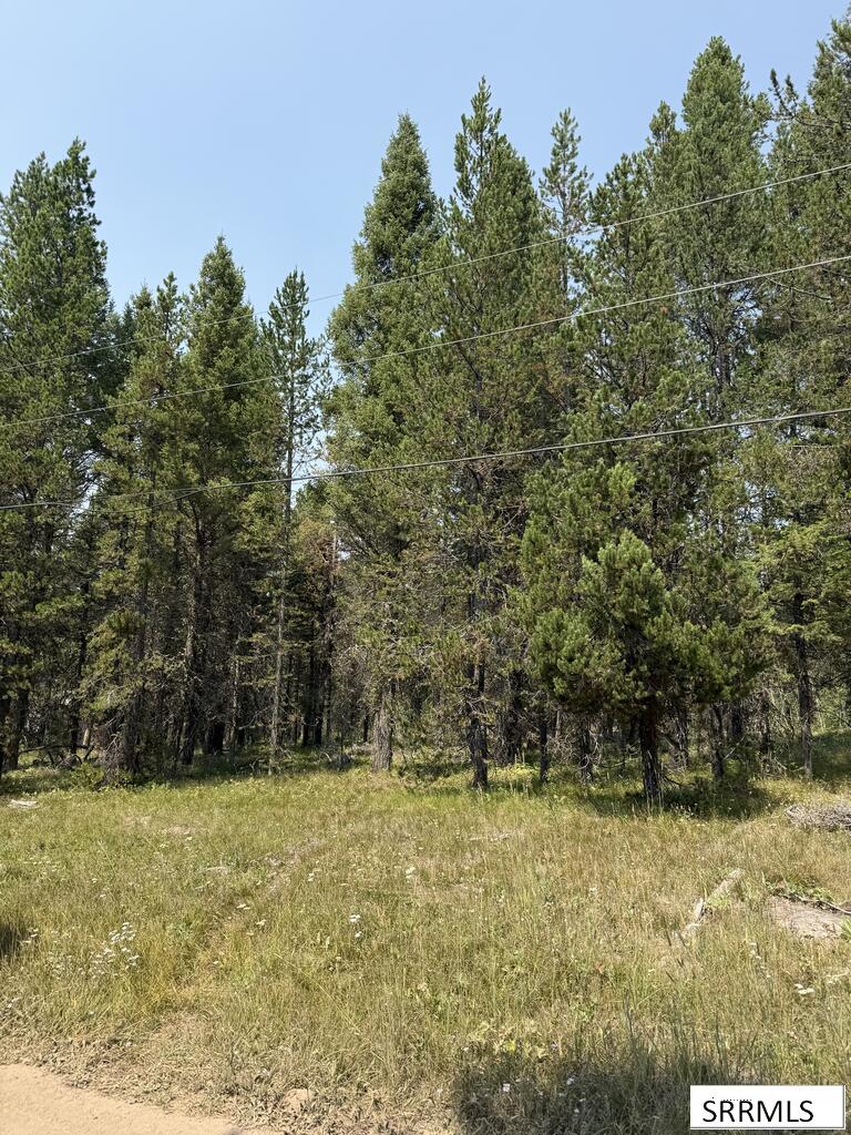 2781 Sagehen Dr Property Photo 4