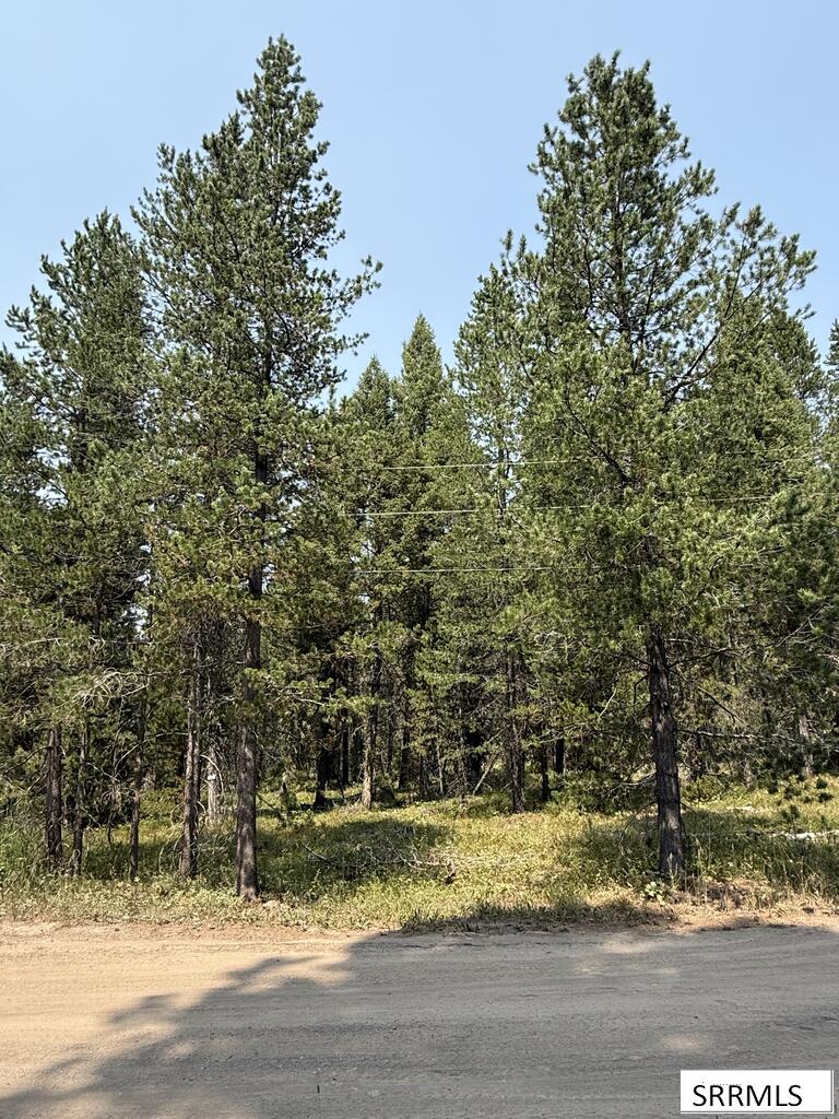 2781 Sagehen Dr Property Photo 5