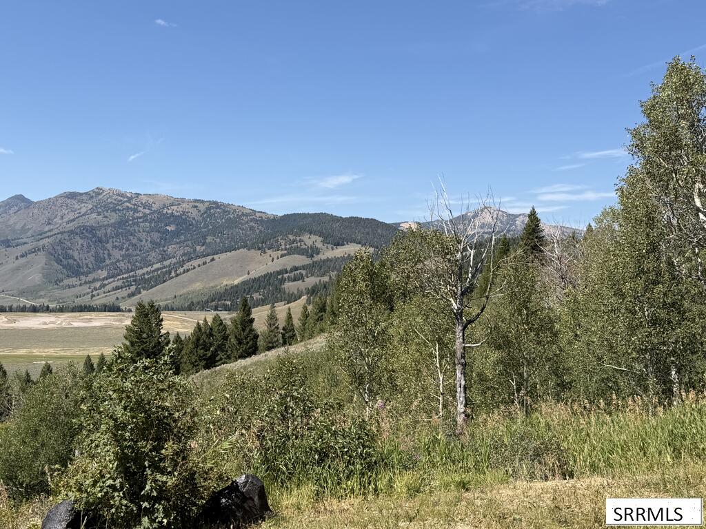 5175 Mountain Drive Property Photo 4