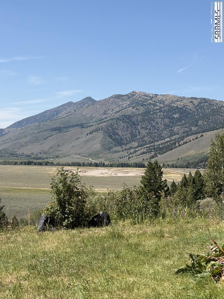 5175 Mountain Drive Property Photo 5