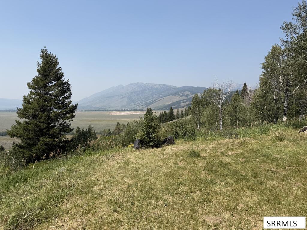 5175 Mountain Drive Property Photo 13