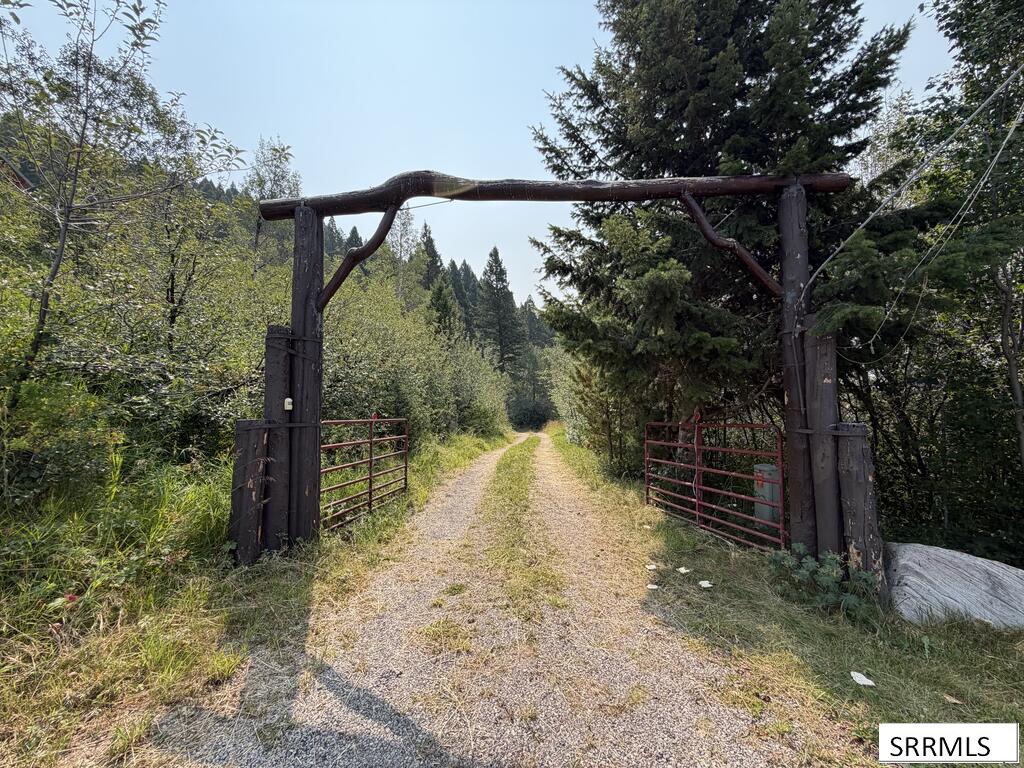 5175 Mountain Drive Property Photo 16