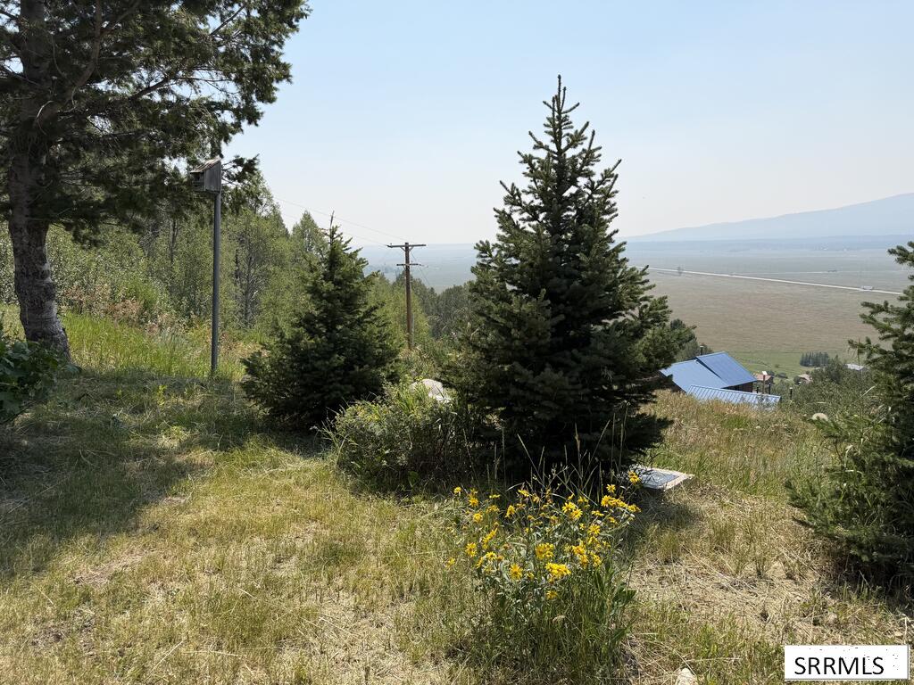 5175 Mountain Drive Property Photo 40