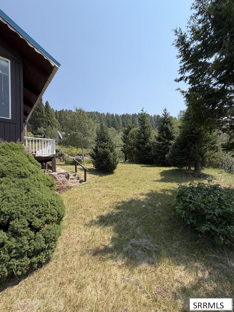 5175 Mountain Drive Property Photo 41