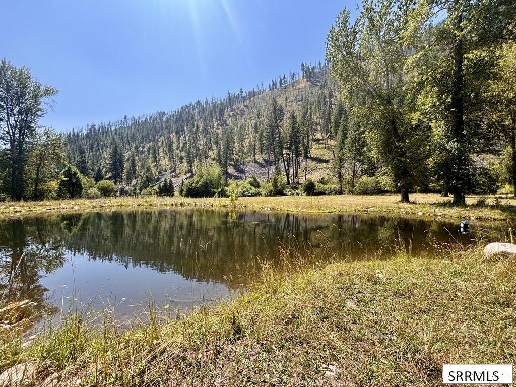 186 Hughes Creek Road Property Photo 57