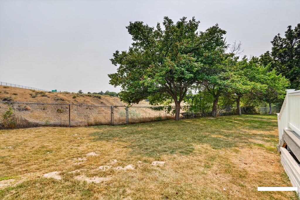1015 Park Lane Property Photo 26