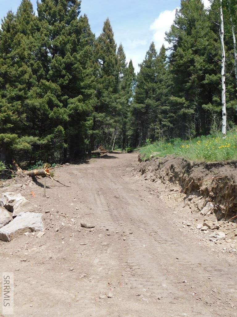 4911 Shadow Wood Property Photo 2