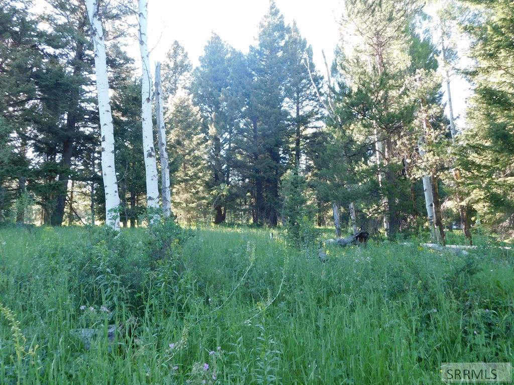 4911 Shadow Wood Property Photo 4