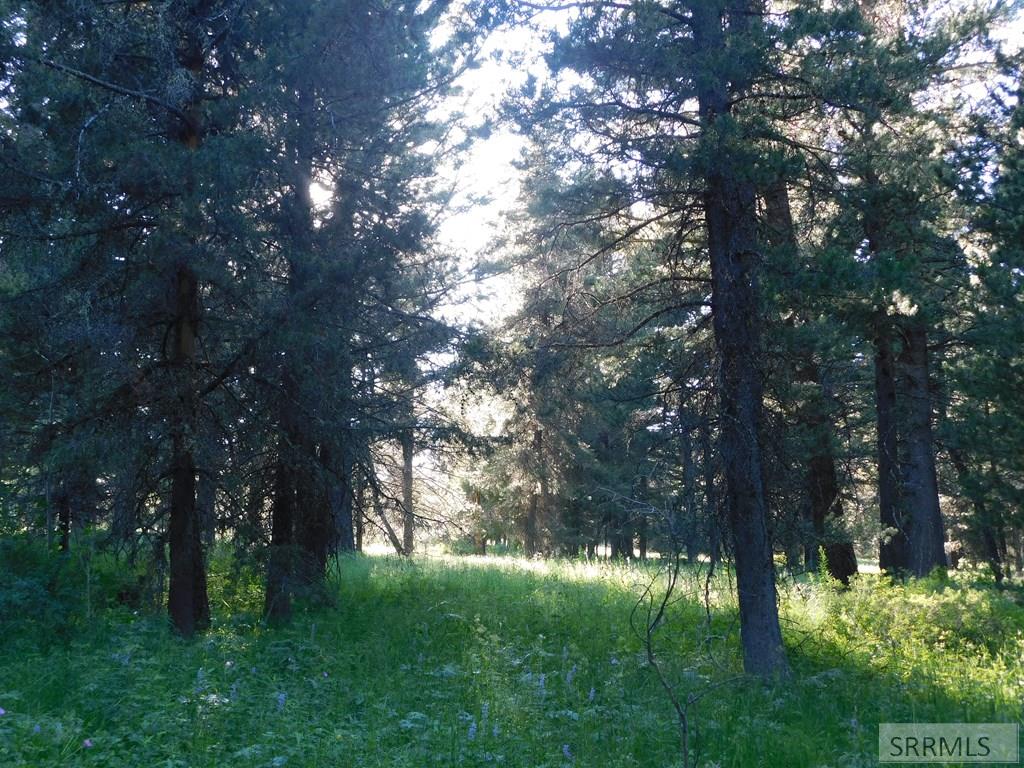 4911 Shadow Wood Property Photo 5