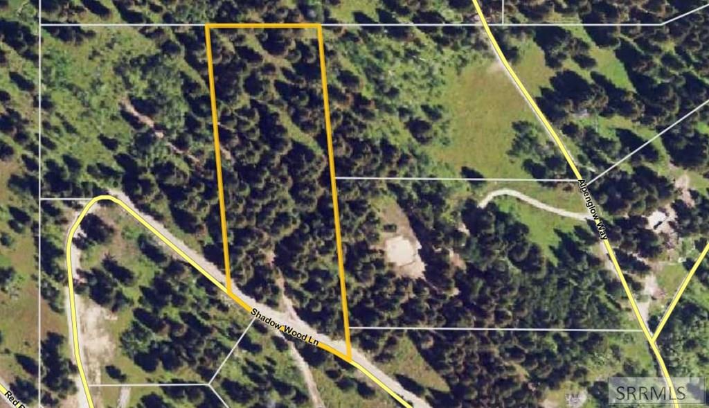 4911 Shadow Wood Property Photo 6