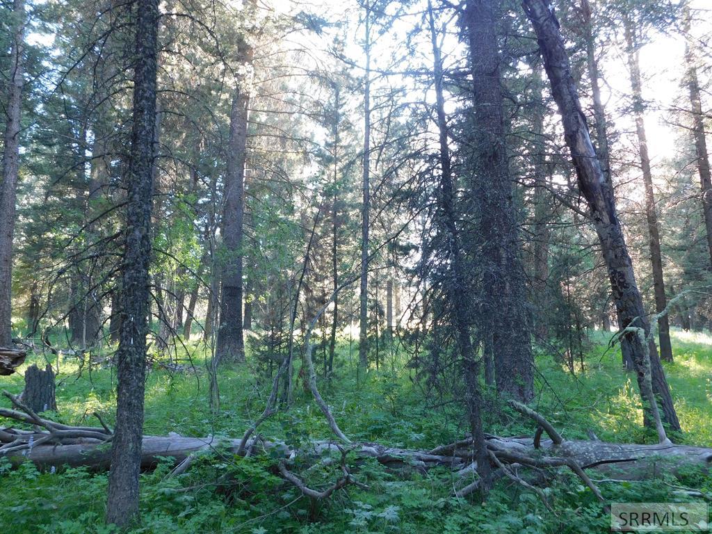 4911 Shadow Wood Property Photo 8