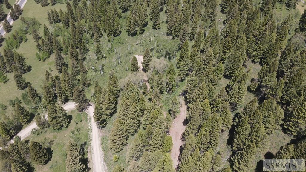4911 Shadow Wood Property Photo 9