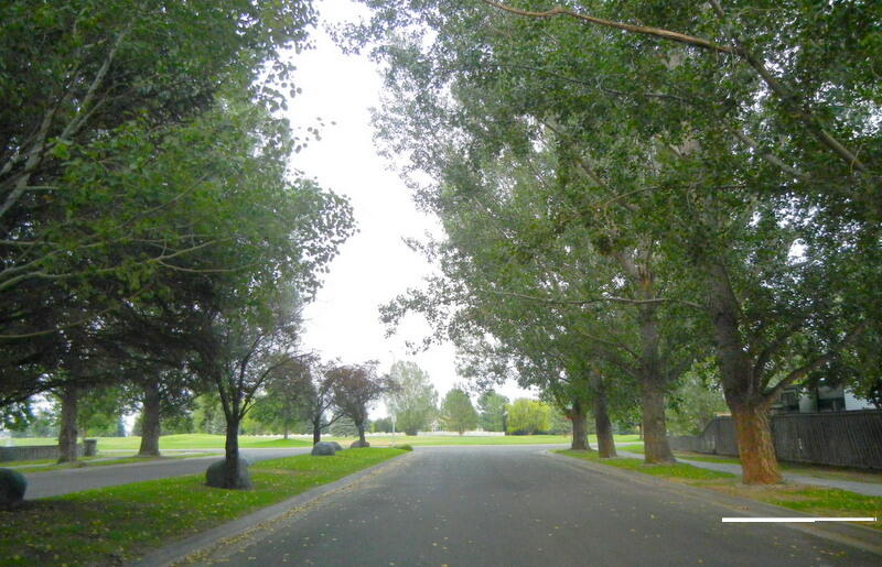 5525 Eaglewood Drive Property Photo 2