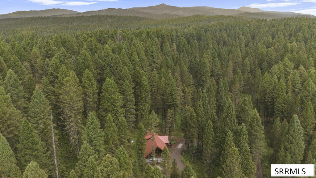 4149 Sugar Pine Drive Property Photo 6