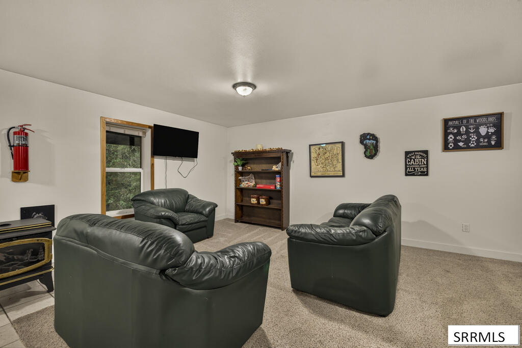 4149 Sugar Pine Drive Property Photo 28
