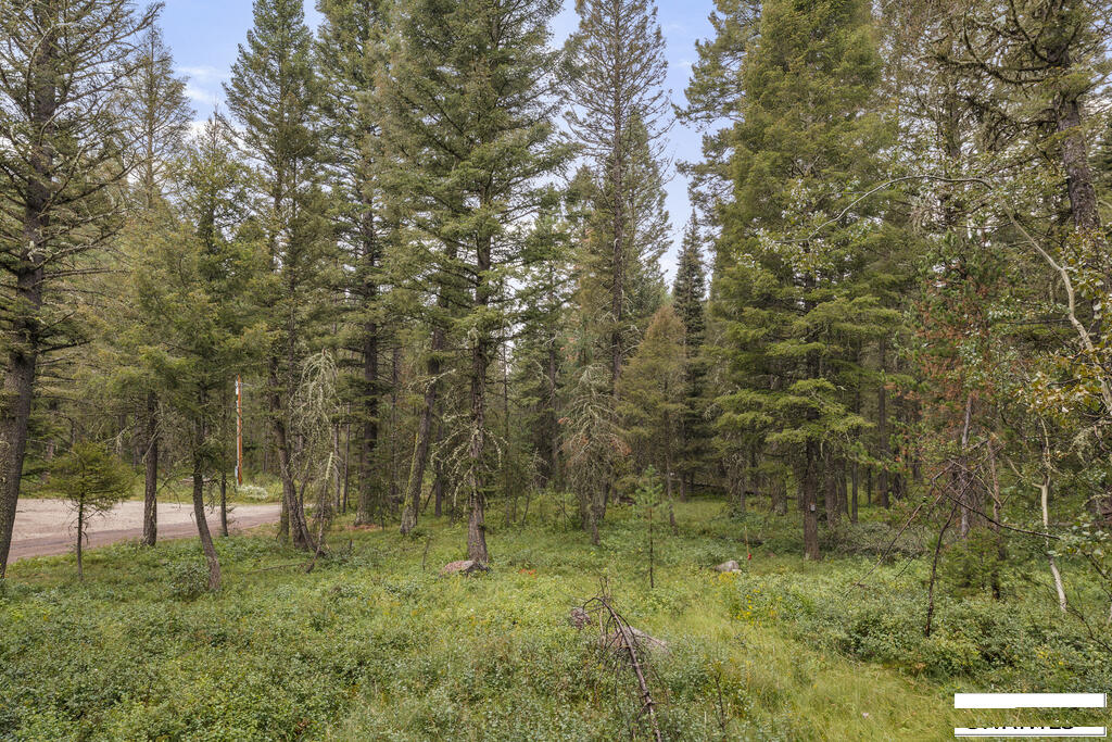4149 Sugar Pine Drive Property Photo 43