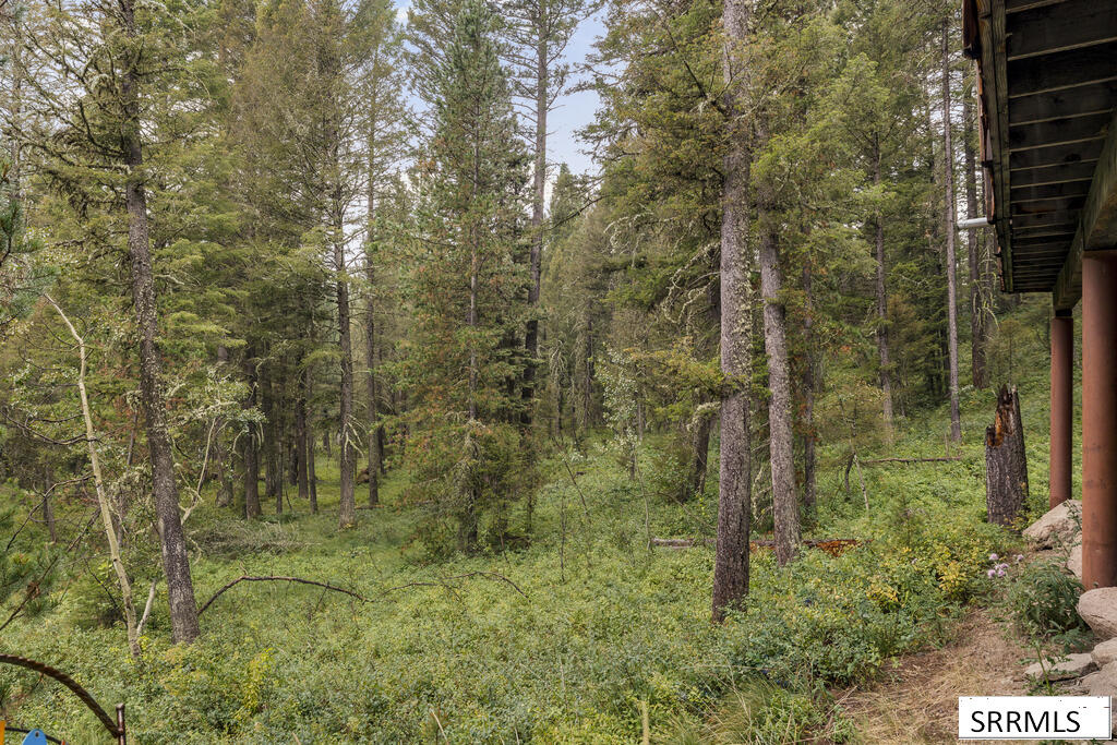 4149 Sugar Pine Drive Property Photo 44
