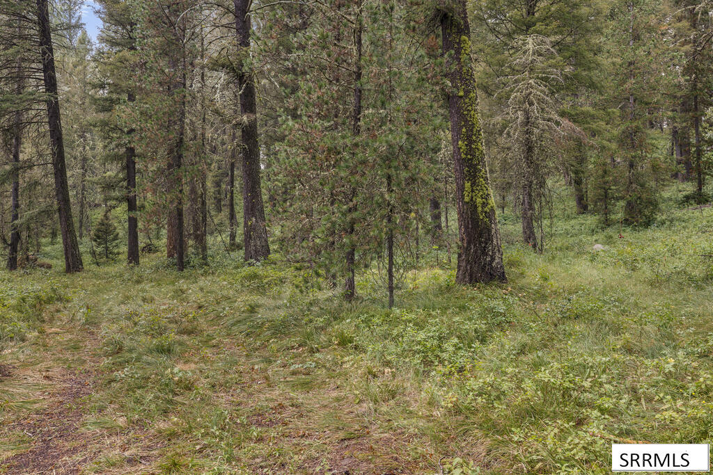 4149 Sugar Pine Drive Property Photo 45