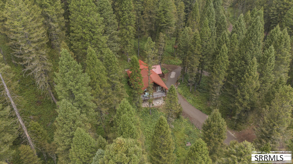 4149 Sugar Pine Drive Property Photo 48
