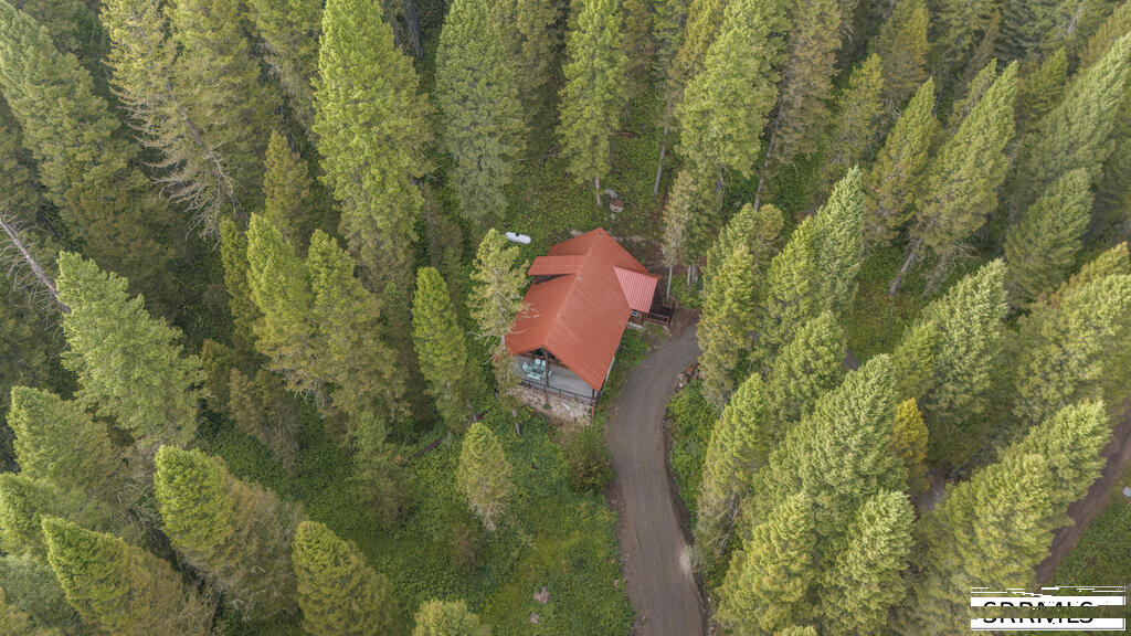 4149 Sugar Pine Drive Property Photo 49