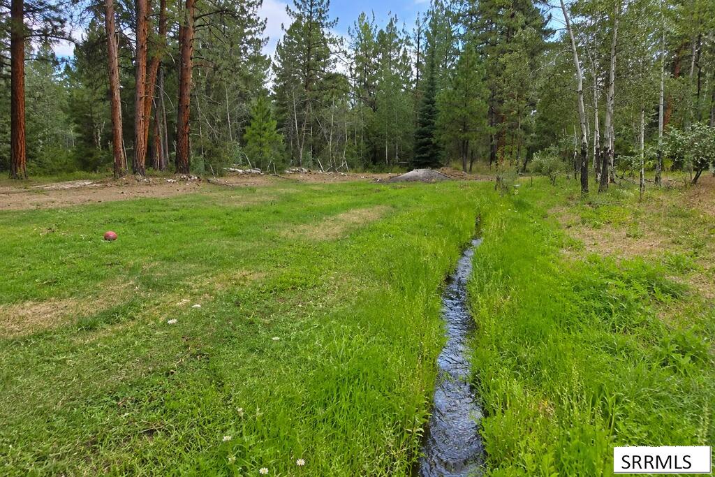 3032 N Hwy 93 Property Photo 5