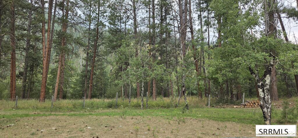 3032 N Hwy 93 Property Photo 8