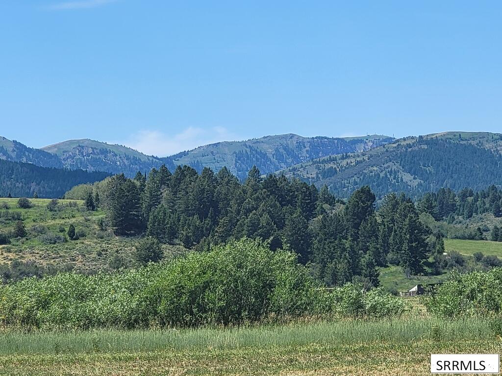 Tbd Lot3b1 Cadis Drive Property Photo 4